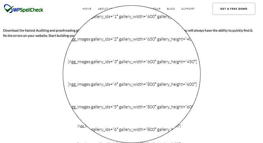 find broken code in wordPress