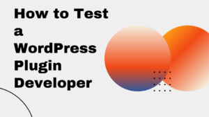 How to Test a WordPress Plugin Developer