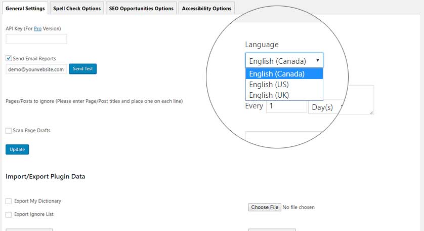wordpress site audit plugin