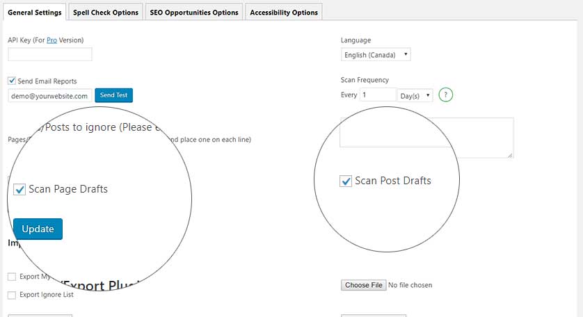 wordpress plugin audit