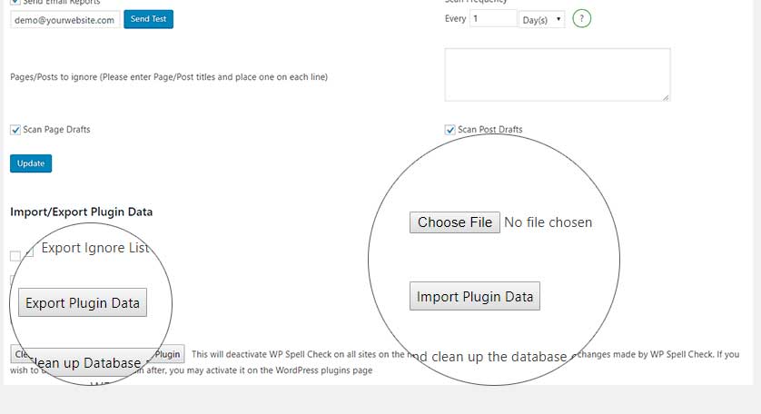 website audit wordpress